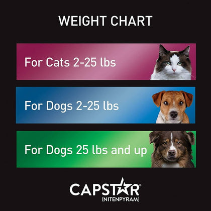CAPSTAR Fast-Acting Oral Flea Treatment for Large Dogs, over 25 lbs, 6 Count