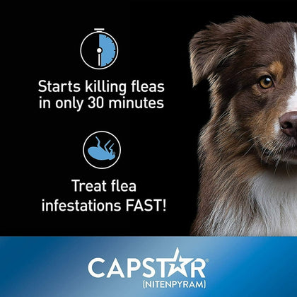 Capstar Fast-Acting Oral Flea Treatment for 2-25lb Dogs – 6 Doses